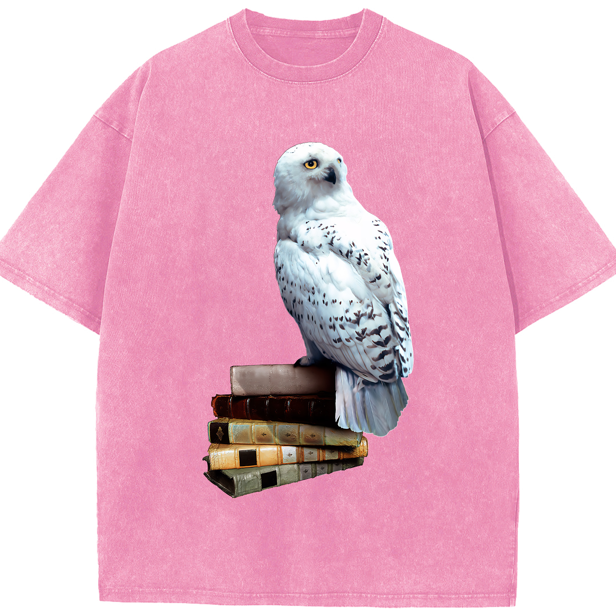（画像用） Harry Potter ハリー・ポッターシリーズ 綿100% ヴィンテージ風 半袖Tシャツ（フロントプリント）